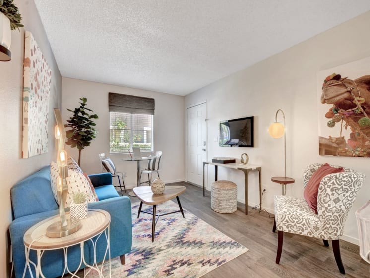 1 Bedroom Apartment